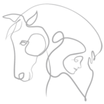 icone_grise Equi ressources